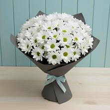 Букет цветов из:  Хризантемы в Угловке